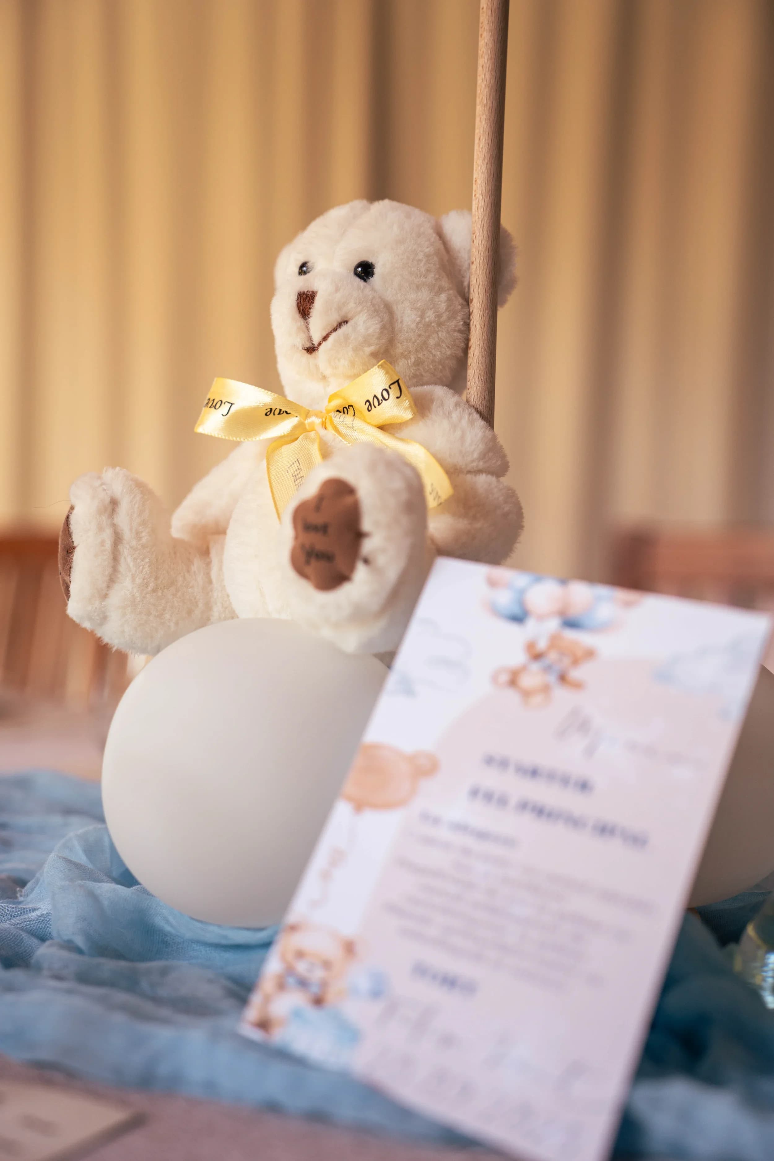 Detaliu ursulet de plus si invitatii fotograf botez profesional Brasov Crudu Alexandru CA Photography