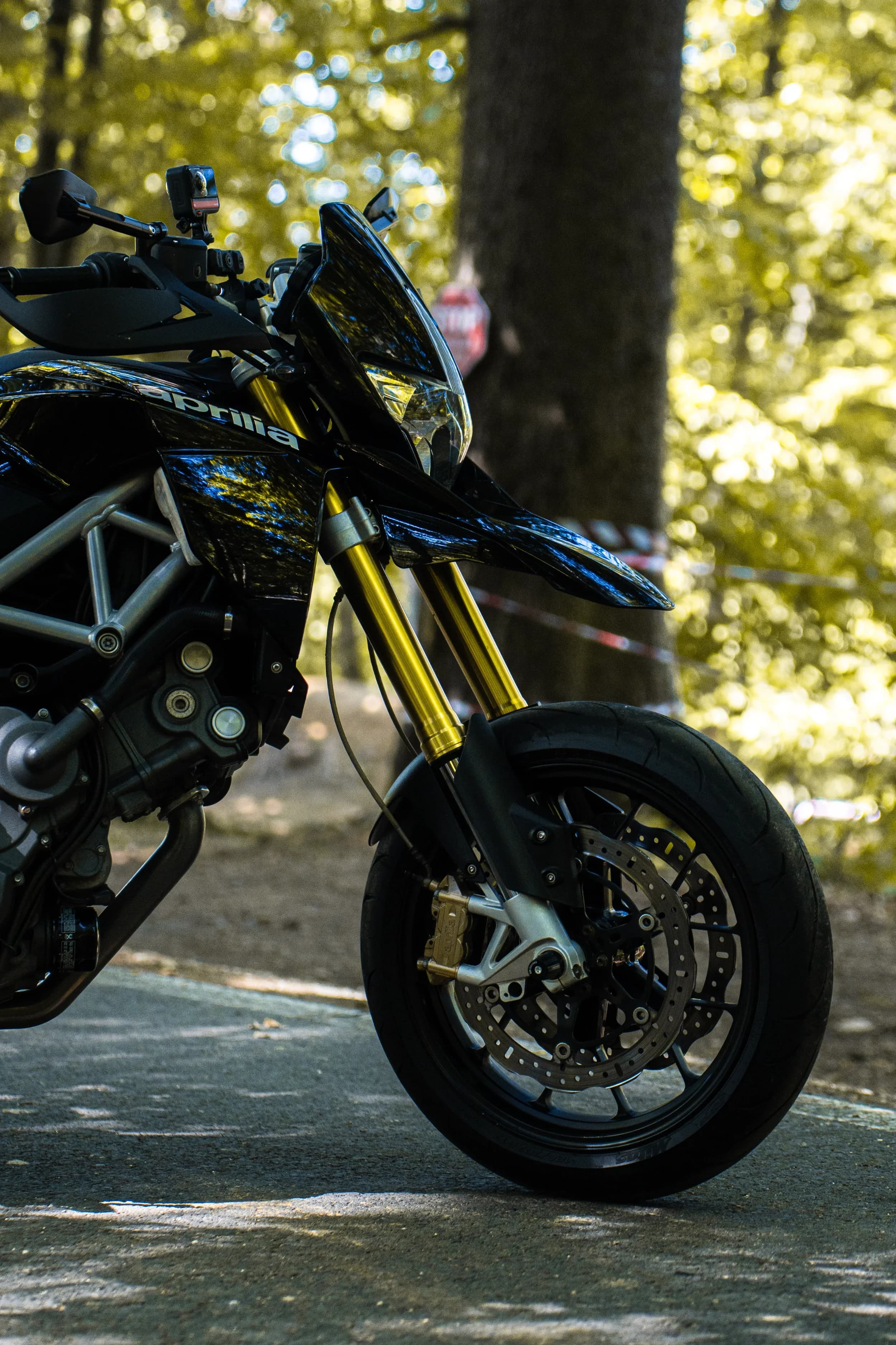 Detaliu motocicleta in padure fotograf auto sedinta foto masini Brasov Crudu Alexandru CA Photography