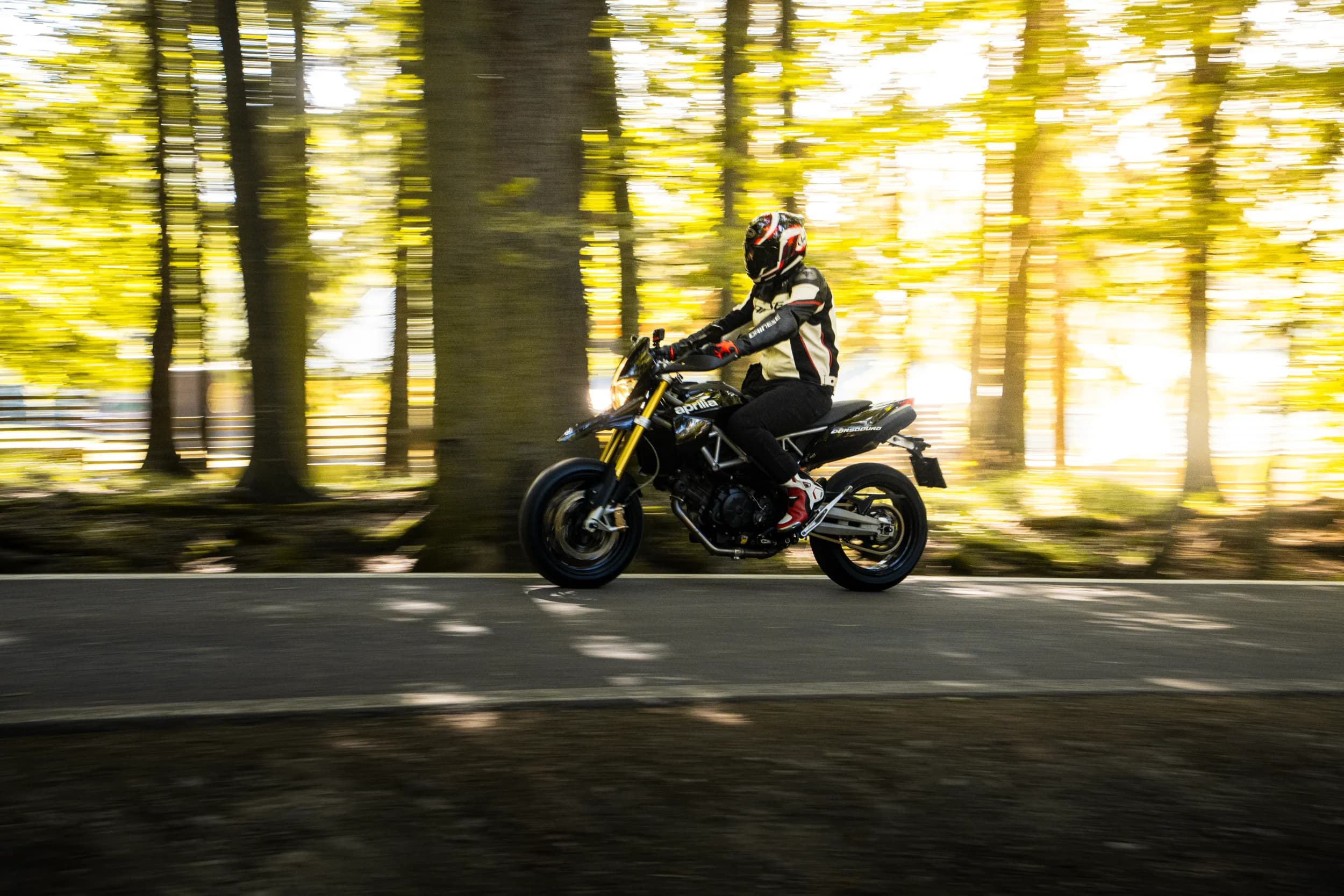 Motocicleta in miscare printre copaci fotograf auto sedinta foto masini Brasov Crudu Alexandru CA Photography